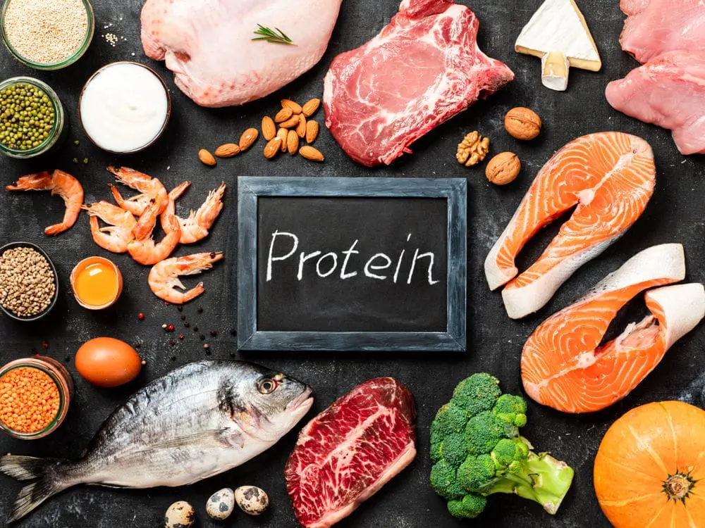 blog-feature-proteins