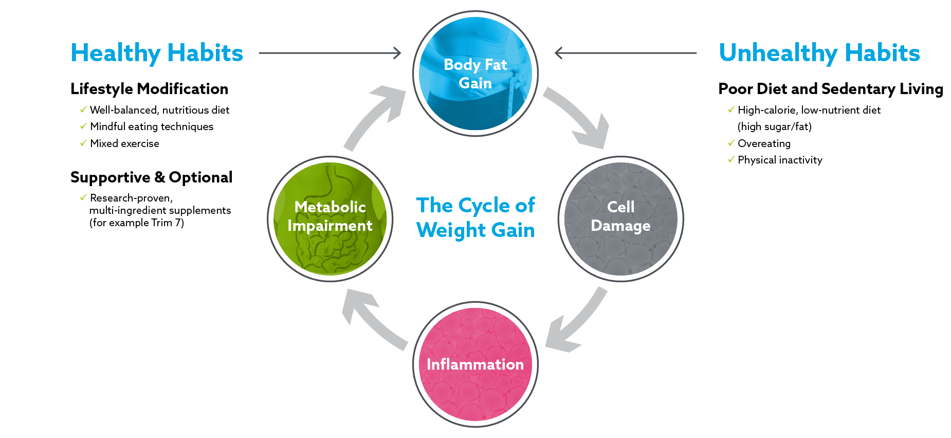 The Cycle of Weight Gain